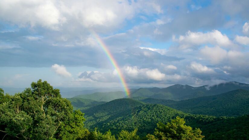 Escorpião + Bordô com Branco / Carta: A Morte / A combinação simboliza transformação com consciência. O bordô representa profundidade emocional e poder interno, enquanto o branco traz renovação e clareza. Para 2026, o Tarot indica encerramento de ciclos e recomeços mais leves, com equilíbrio e lucidez/Unsplash