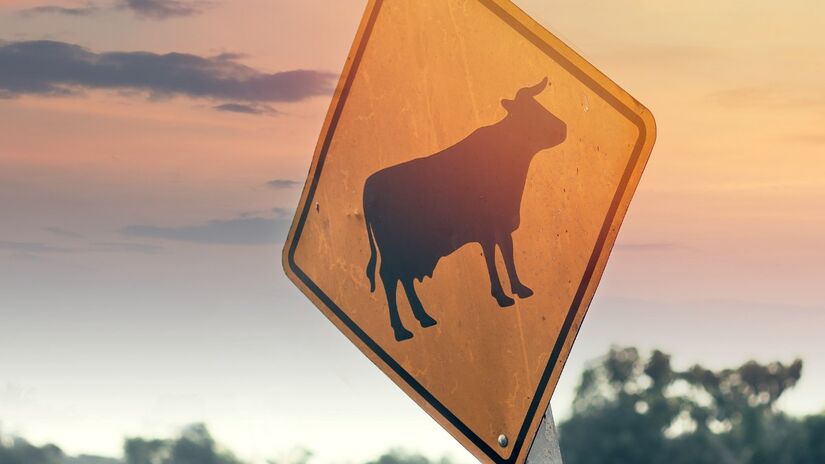 Uma cidade bem sinalizada facilita a mobilidade e melhora a convivência entre todos os usuários das vias / Pixabay