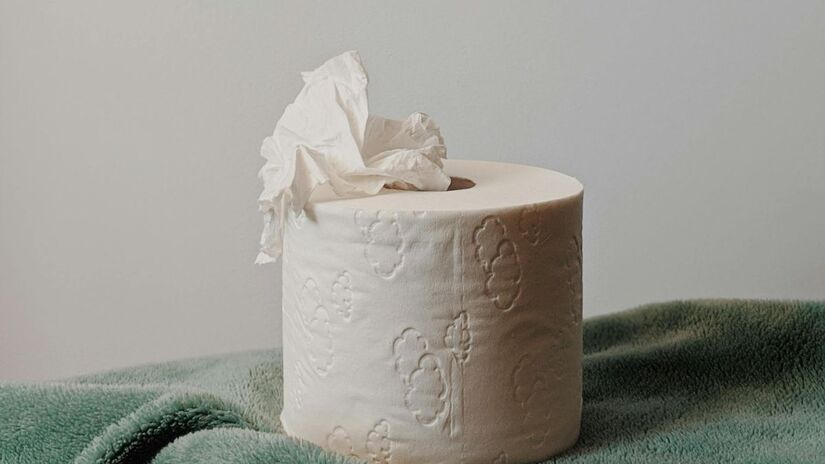 Duchas higiênicas são consideradas mais saudáveis para a pele do que o papel comum/Pexels