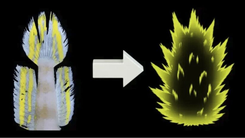Nomeado cientificamente como Vanderhorstia supersaiyan (super saiyan = Super Saiyajin), o peixe é composto por listras amarelas que aparecem em suas barbatanas (Divulgação)