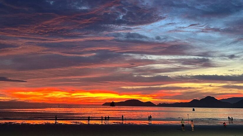 Geórgia Plini/Leitor DL