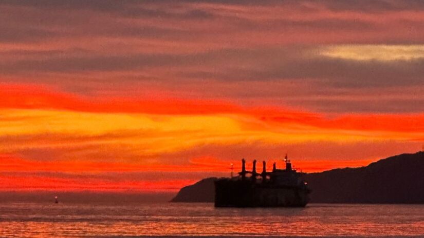 Geórgia Plini/Leitor DL