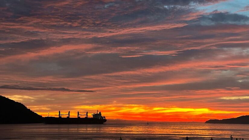 Geórgia Plini/Leitor DL