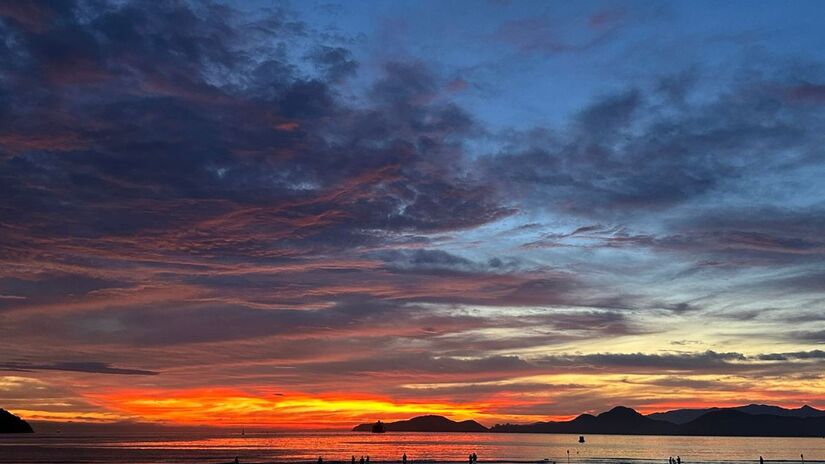 Geórgia Plini/Leitor DL