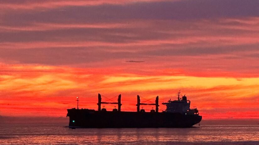 Geórgia Plini/Leitor DL