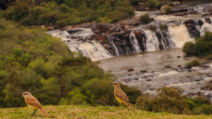 Entre os atrativos, estão observatório de pássaros, paredões rochosos, piscina natural e três ilhas / Divulgação/Parque das Quedas