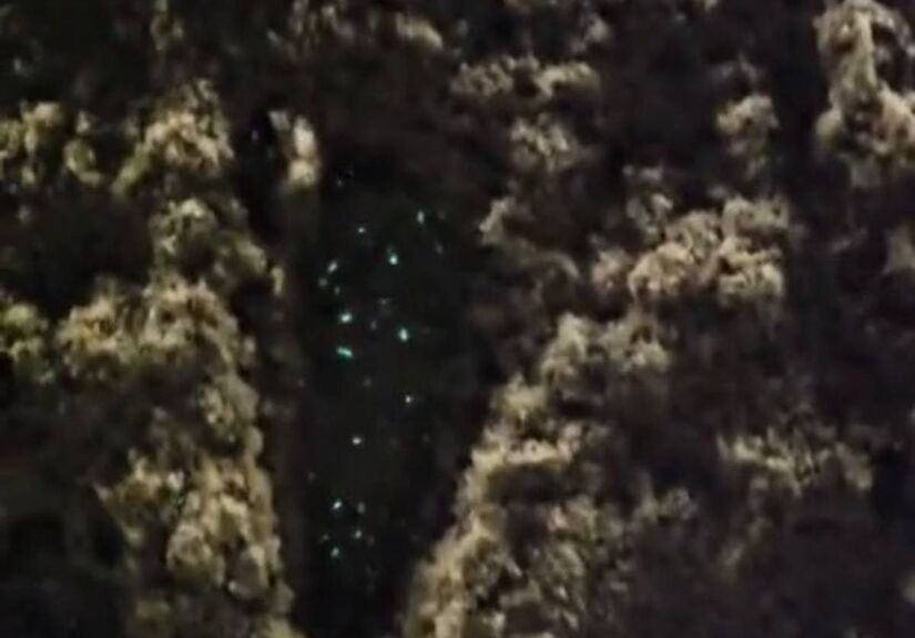 A noite deste domingo (7) reservou um fenômeno natural curioso na praia do Itararé, em São Vicente, no litoral de São Paulo/ Maykon Canesin

