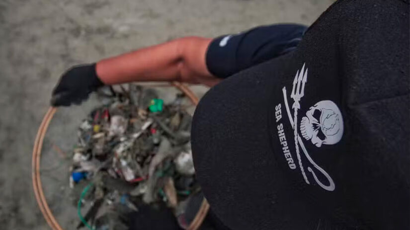 Divulgação/Sea Shepherd Brasil