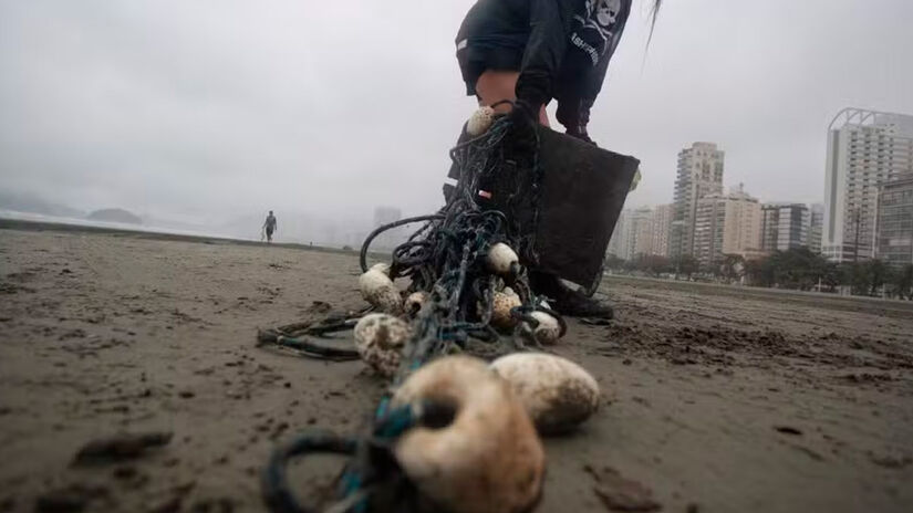 Divulgação/Sea Shepherd Brasil