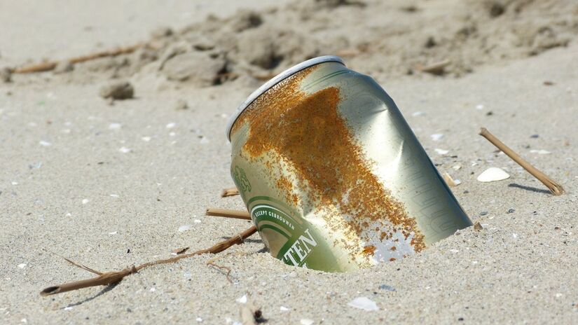 Animais marinhos confundem res&iacute;duos com alimento, aumentando casos de intoxica&ccedil;&atilde;o e mortalidade / Pixabay
