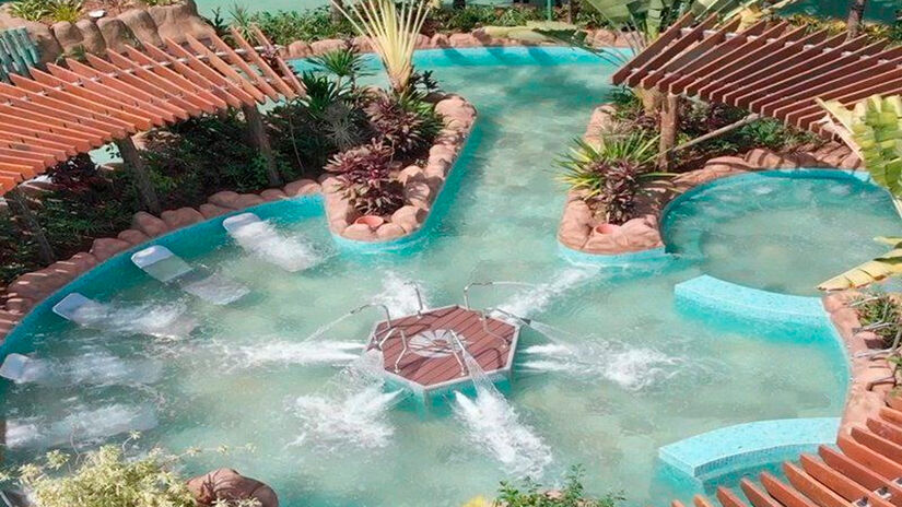 Divulga&ccedil;&atilde;o