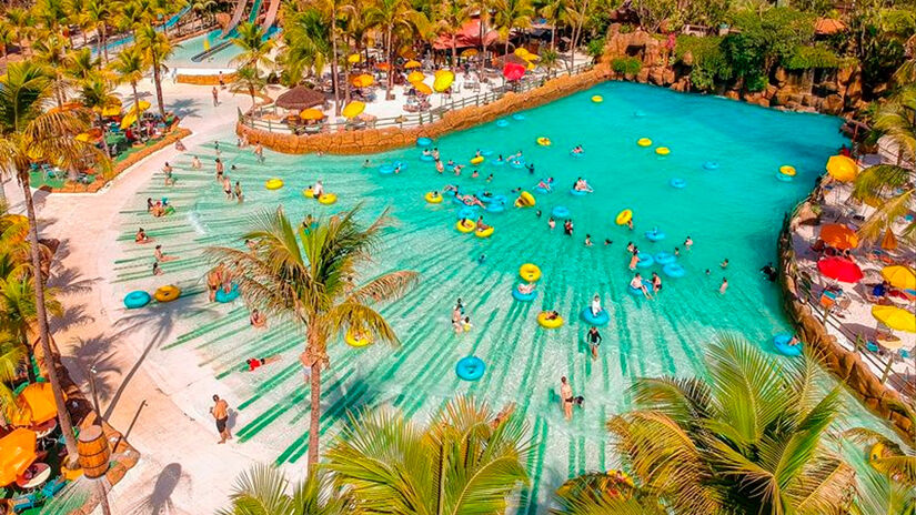 Divulga&ccedil;&atilde;o