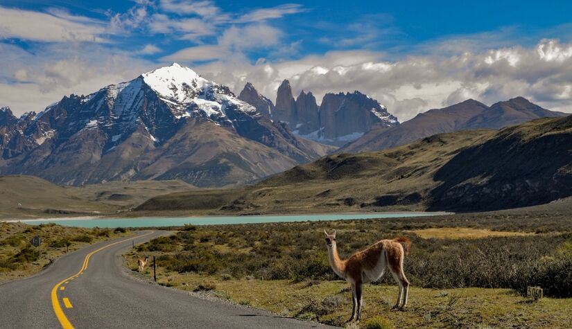 Na América do Sul, o Vale de Colchagua, no Chile, desponta como destino para quem busca vinhos premiados, gastronomia de alto nível e turismo rural / Freepik