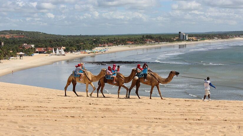 Por muitos anos, Genipabu ficou nacionalmente conhecida por oferecer passeios de dromedário / Foto: marinelson/Wikipédia
