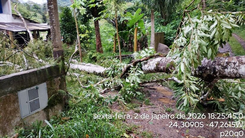 Dia 02 - Rua São Carlos, Fazenda São José - Via e Rede Elétrica / Defesa Civil
