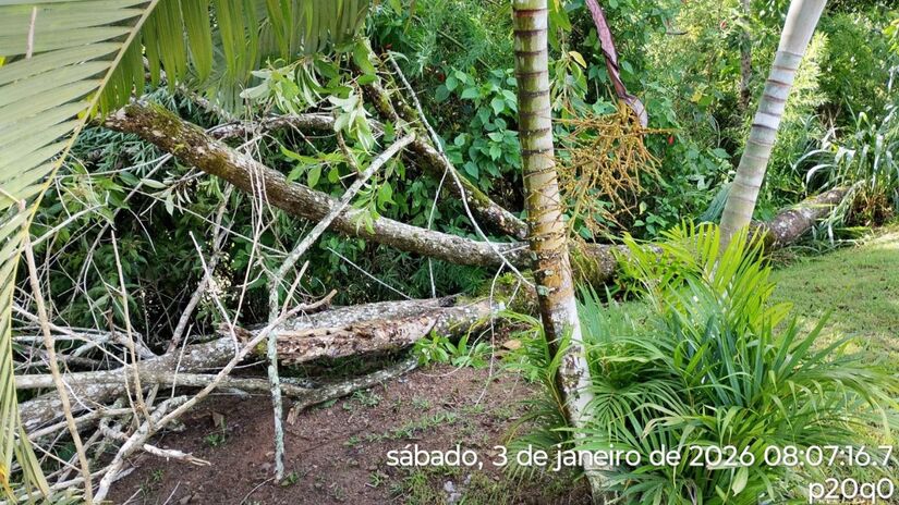 Dia 03 - Ponte da Vila Batista - Via / Defesa Civil
