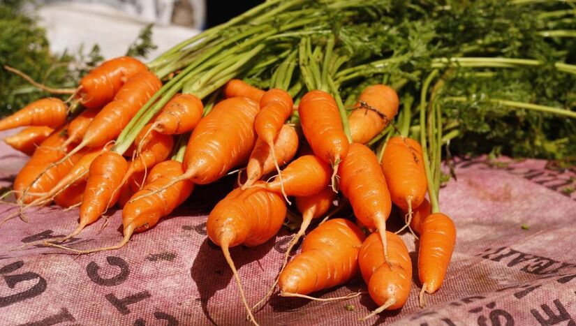 Armazenar corretamente faz toda a diferen&ccedil;a para evitar fungos e desperd&iacute;cio/Pixabay