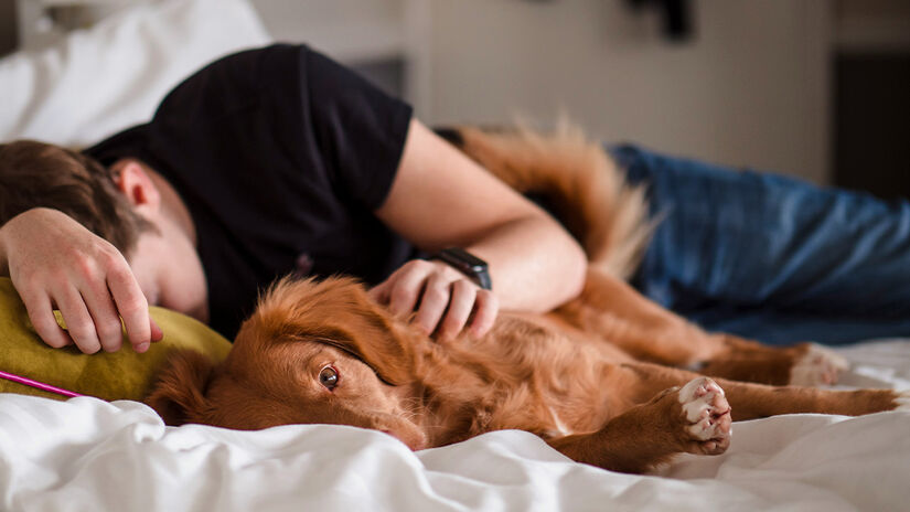 Muitas pessoas relatam sonhos mais tranquilos ou mais fáceis de lembrar após adotar o costume. Jamie Street na Unsplash