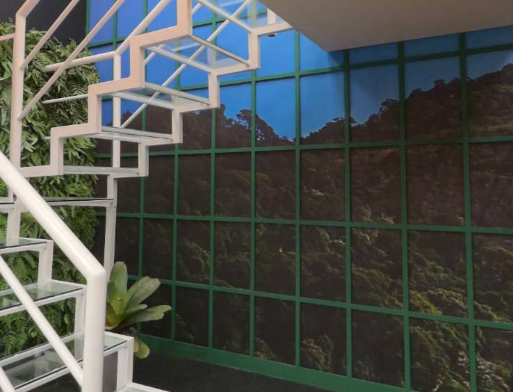 Dois homens e duas mulheres disputam votos na Casa de Vidro /reprodução