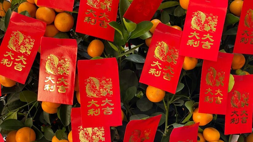 2026 será o Ano do Cavalo de Fogo, marcado por energia, coragem, intensidade e espírito de mudança. Unsplash/Yuwei Shaw