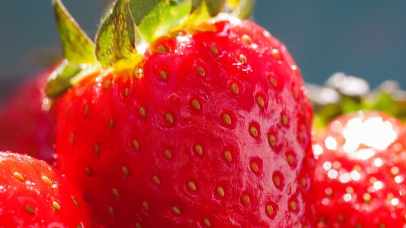 Rica em nutrientes e antioxidantes, o morango contribui para a proteção do organismo e uma vida mais saudável. Freepik/@valeria_aksakova