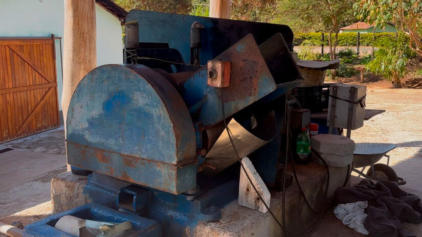 Isabella Fernandes/DL