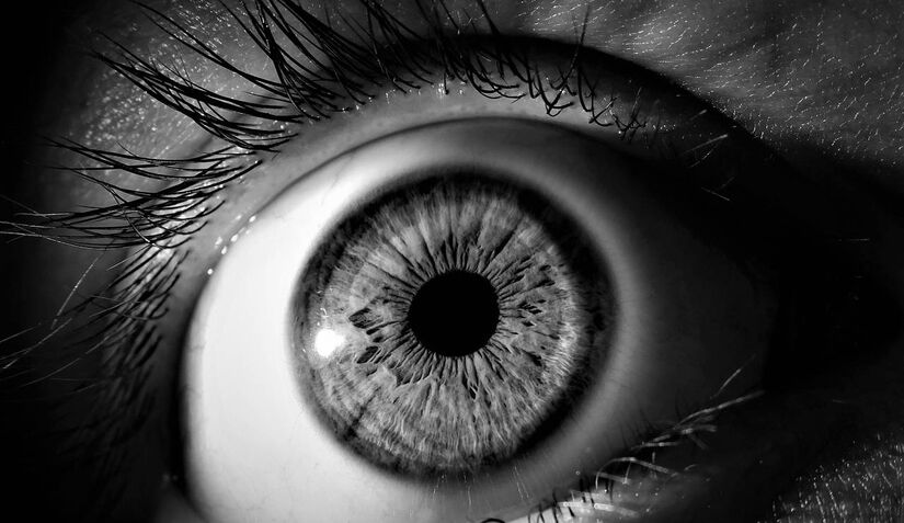 Antioxidantes, energia e equil&iacute;brio: descubra por que as bagas de goji v&ecirc;m ganhando cada vez mais destaque na rotina alimentar/Pixbay