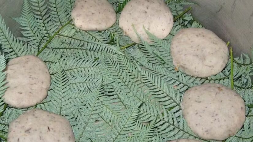 Chapalele  Foto: Reprodução 