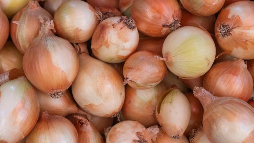  (Dogan Alpaslan Demir/Pexels)