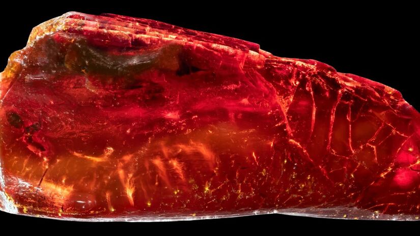 No interior de uma pedra de âmbar, cientistas identificaram o fóssil de uma formiga com cerca de 40 milhões de anos, preservada de forma extraordinária. Reprodução/Bernhard Bock/Daniel Tröger