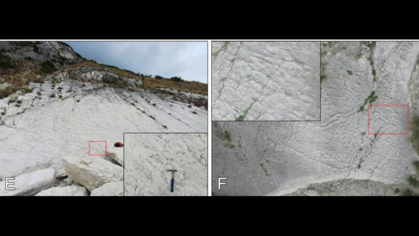 Lâminas delgadas revelaram microfósseis de organismos de fundo / Montanari et al./Cretaceous Research, 2025