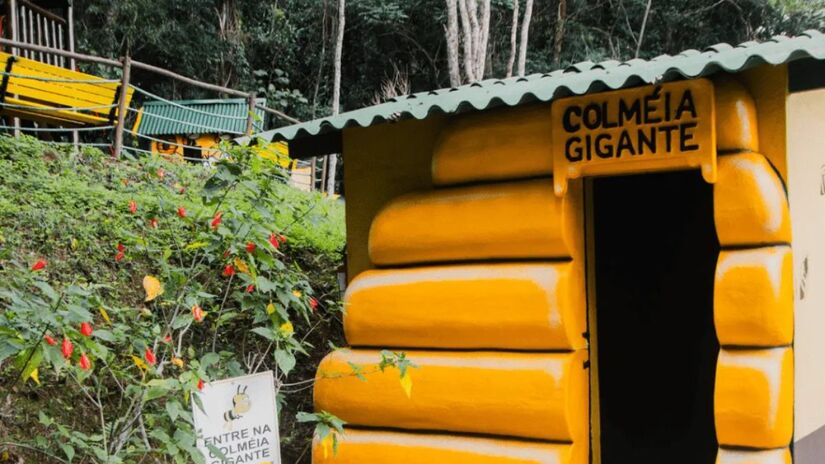 Colmeia gigante - Atração sensorial simula o interior de uma colmeia real, com favos, organização social e o característico zumbido das abelhas/ Reprodução Cidade das Abelhas