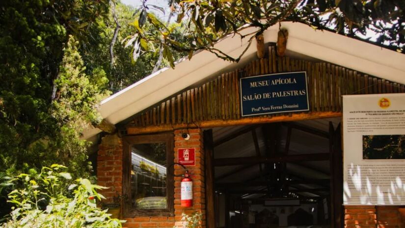 Museu Apícola - Espaço apresenta a história da apicultura desde o Antigo Egito, além das funções das abelhas e ferramentas usadas por apicultores/ Reprodução Cidade das Abelhas