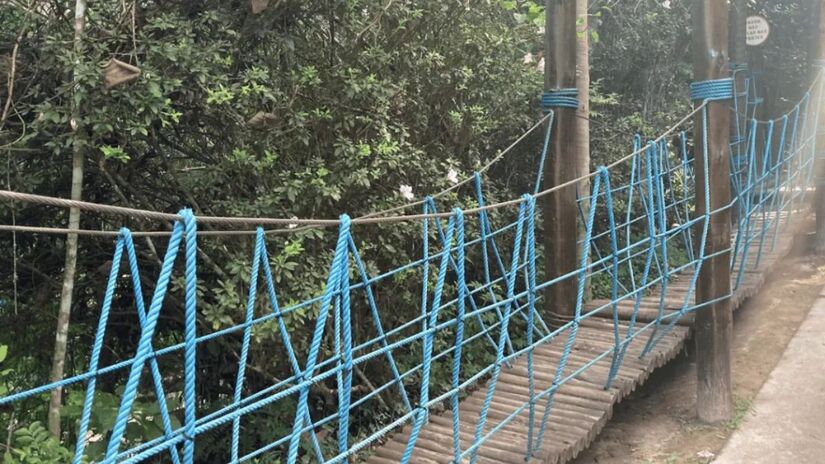 Arbelhismo - Atividade de arvorismo infantil permite que as crianças gastem energia enquanto interagem com a natureza/ Reprodução Cidade das Abelhas