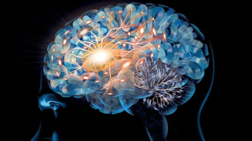 Mesmo no envelhecimento avançado, o cérebro mostra sua força: diante da perda de algumas conexões, o órgão cria 'caminhos alternativos' para garantir que as informações continuem circulando/ Arte de DANIEL HERTZBERG