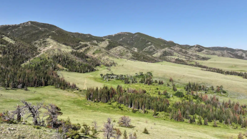 10 Impacto Econômico O setor de energia eólica e pecuária extensiva dentro da propriedade garantem que o Pathfinder Ranches seja uma máquina de receita sustentável /Divulgação