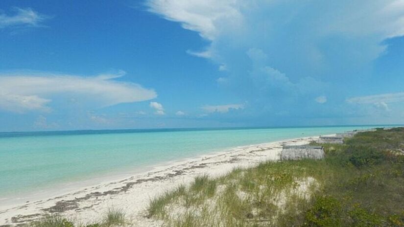 Após o anúncio inicial que chocou o mundo, o projeto perdeu financiamento e o interesse oficial desapareceu/Wikimidia communs 