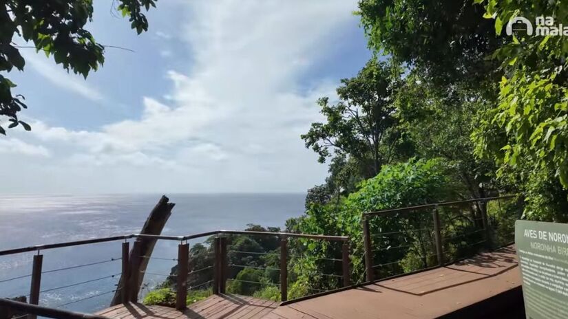 A preservação da praia é garantida pelo ICMBio, mantendo o ecossistema local praticamente virgem