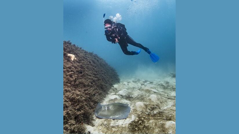 O mergulho ocorre apenas com autorização e acompanhamento, revelando um cenário subaquático que parece de outro planeta/ Instituto Chico Mendes de Conservação da Biodiversidade