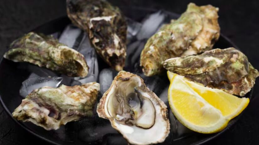 A iniciativa fortalece comunidades costeiras, oferecendo uma nova fonte de renda através da coleta de animais que antes eram apenas um problema/Freepik
