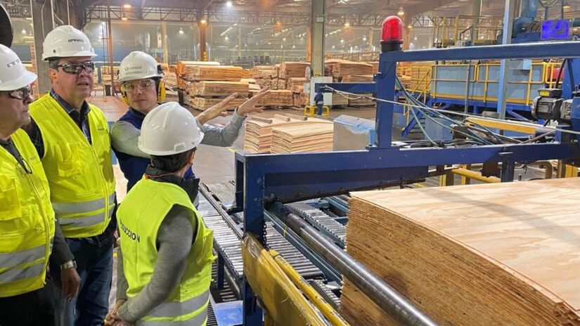 Durante o pico das obras, estima-se que 14 mil trabalhadores sejam mobilizados / Divulgação/Governo do MS