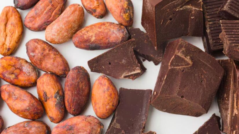 Flavonóides presentes no cacau têm ação antioxidante e podem proteger os vasos sanguíneos, segundo especialistas/Freepik