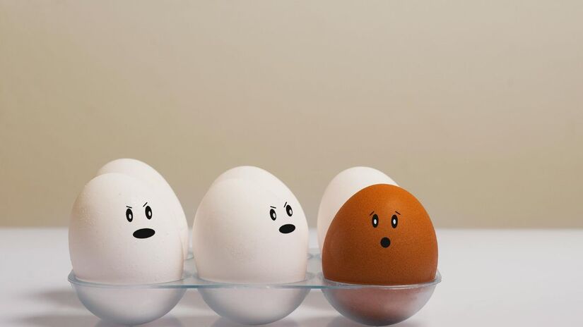 Ovos brancos, marrons e até azulados chamam a atenção nas prateleiras, mas a cor da casca não indica qualidade nem valor nutricional. /Pexels