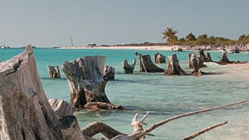 As imagens revelaram o que pareciam ser blocos de granito polidos e pirâmides em uma área de 20 quilômetros quadrados/Wikimidia communs