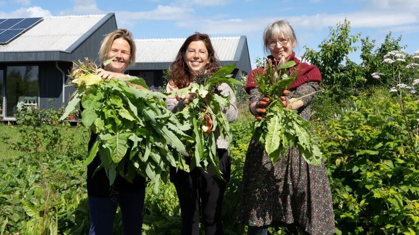 Você trocaria o supermercado pelo próprio quintal? Em Oosterwold, colher o jantar é lei. Um experimento urbano na Holanda onde a liberdade de construir vem com a missão de plantar. Tara Schepers and Yolanda Sikking/Almere municipality