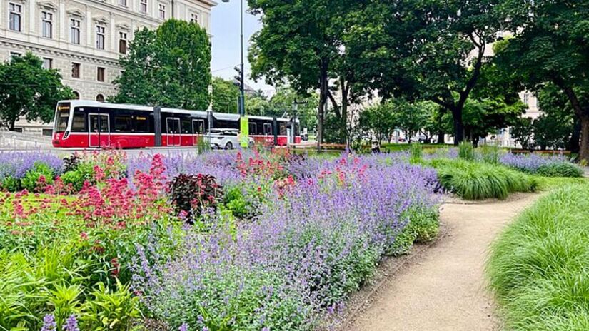 Um euro por dia pelo transporte público? Viena mostra como políticas acessíveis e gestão de estacionamento mudam o jogo da mobilidade urbana. #Viena #MobilidadeSustentável /Wikimedia Commons
