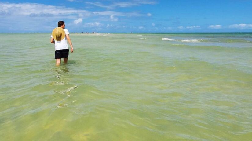 Turismo e curiosidade  O local atrai turistas de diferentes regiões em busca de uma experiência única no litoral de Alagoas/ Site MaragogiAlagoas
