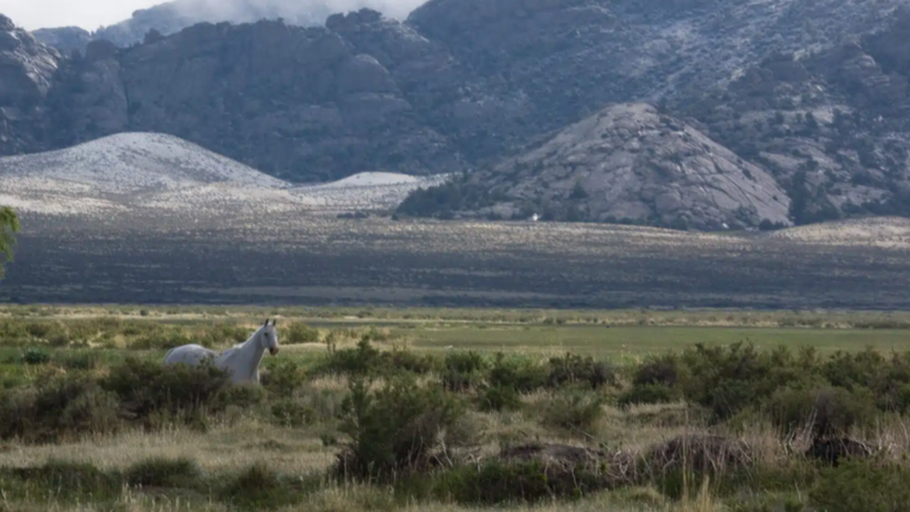 6 Ecossistema Único A propriedade é um santuário natural abrigando vales fluviais planaltos e três cadeias montanhosas completas Ferris Pedro e Green /Divulgação