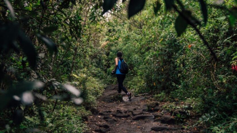 Monte Verde oferece trilhas para diferentes níveis, passeios de quadriciclo e contato direto com a mata nativa da região. /viajando na janela
