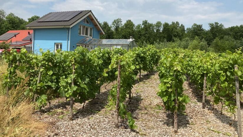 veja como a obrigação de plantar transformou vidas na Holanda. Oosterwold prova que a resiliência alimentar pode ser a base para as cidades do futuro. Tara Schepers and Yolanda Sikking/Almere municipality